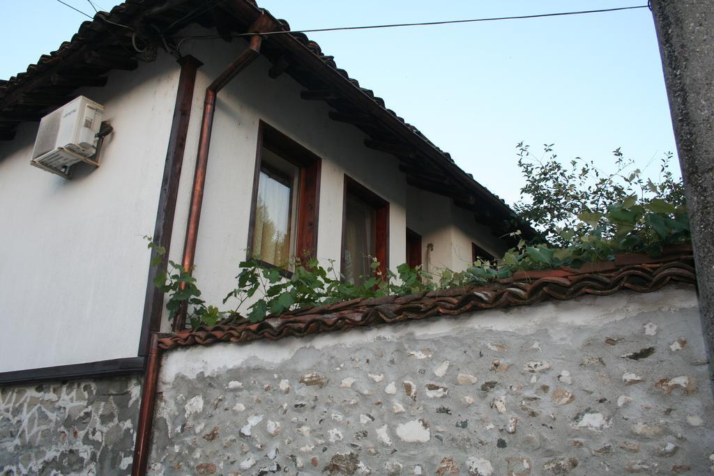 Hotel Todorova House à Zlatograd Extérieur photo